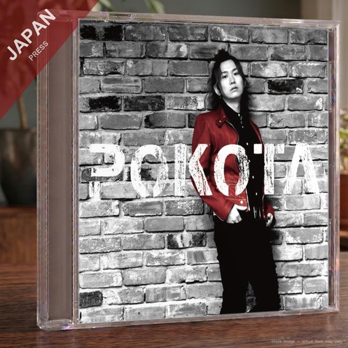 Pokota 摩訶不思議 lady - pokota,