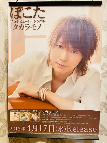 Poster promozionale pokota - promozionale,
